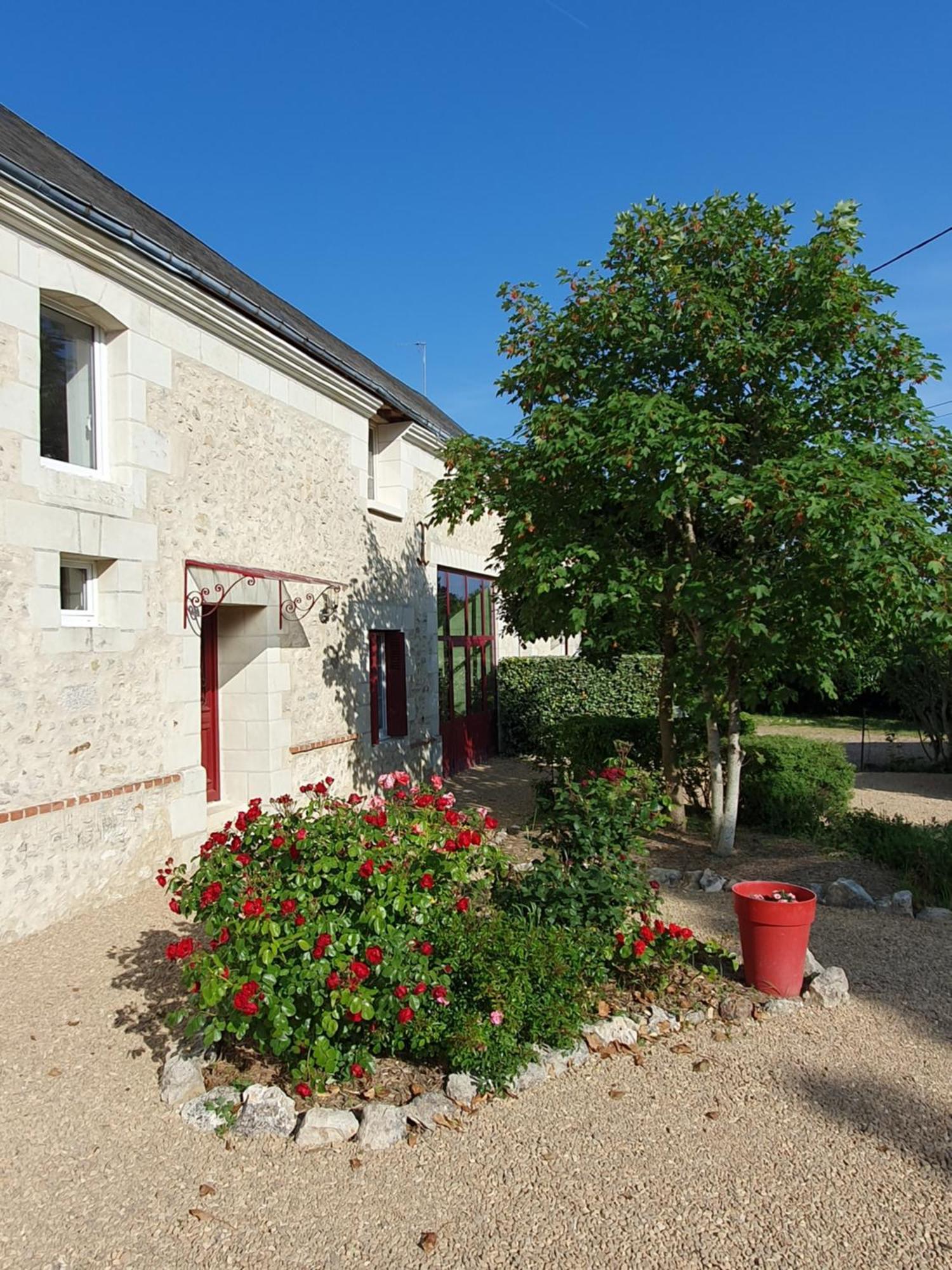 Au Domaine Du Bois Joubert Bed & Breakfast Luzille ภายนอก รูปภาพ